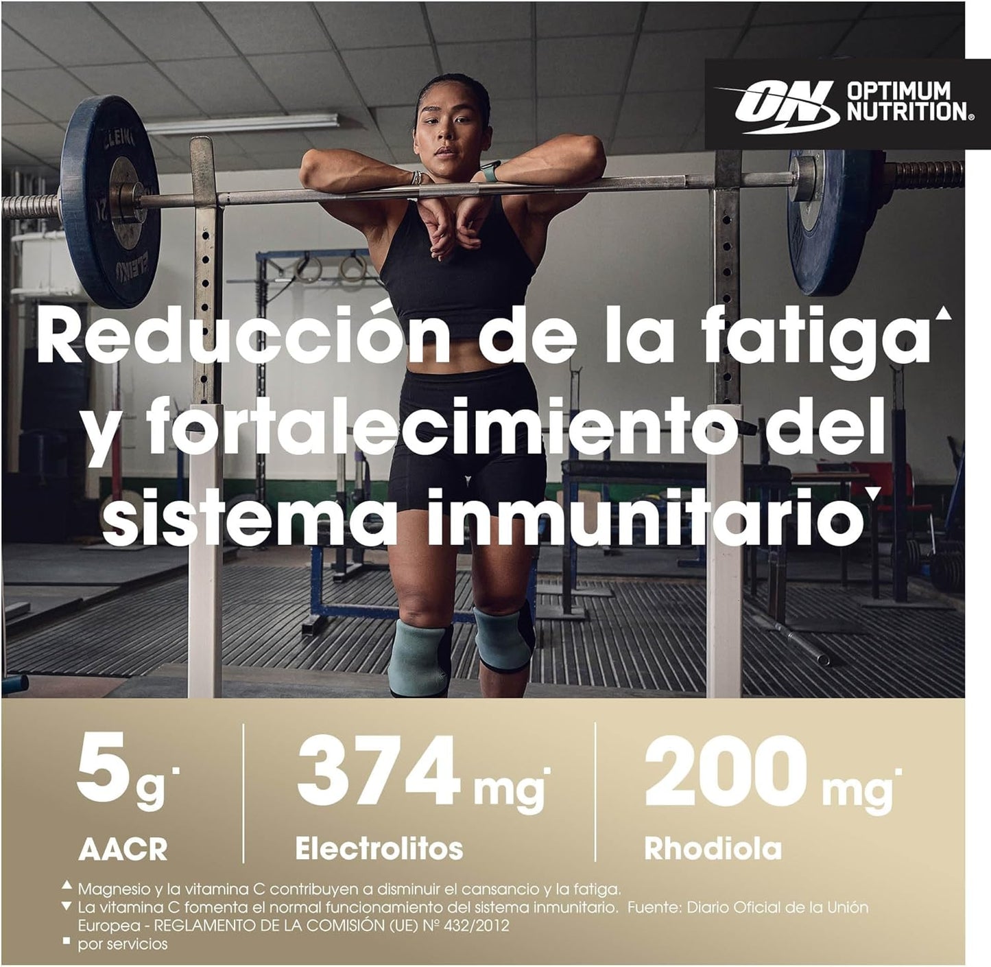 ON Gold Standard BCAA Train + Sustain 266G